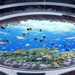 dance-floor-led-Screen-