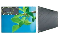 Indoor LED Displays