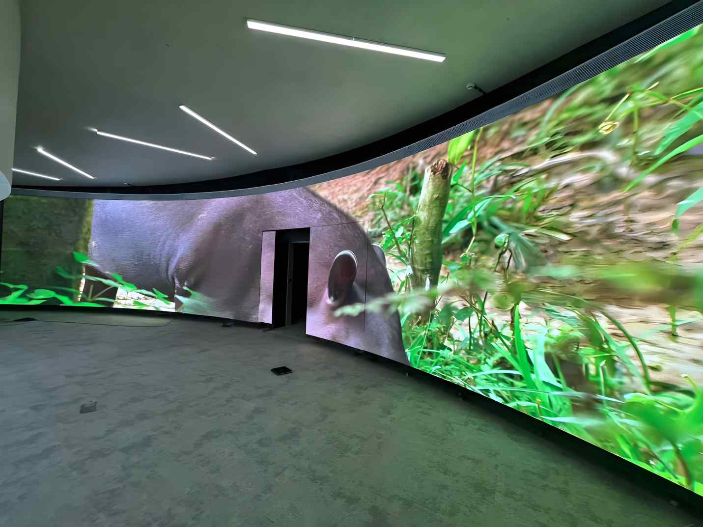 Curved LED Screen: A Comprehensive Guide